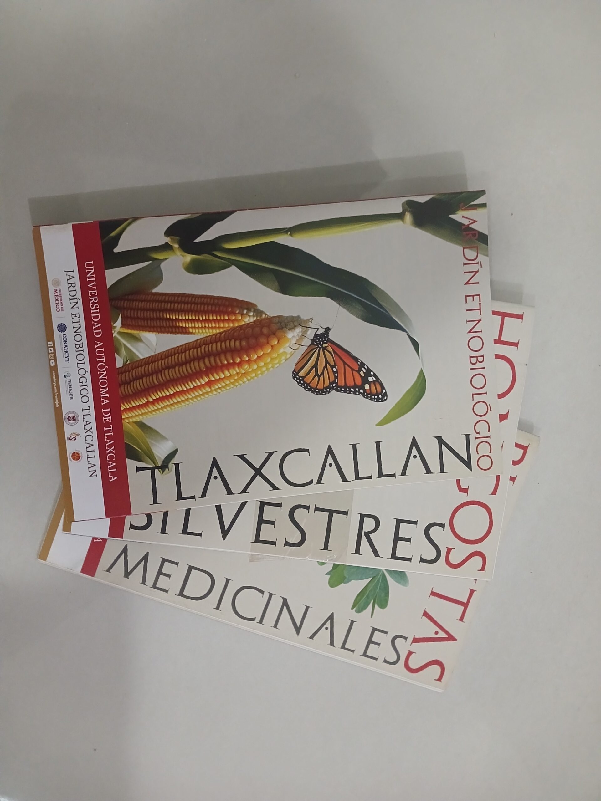 Trípticos en lenguas originarias